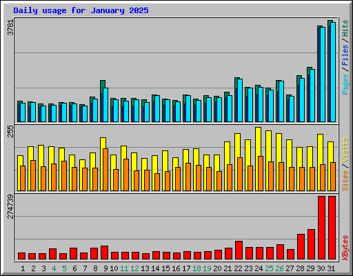Daily usage for January 2025