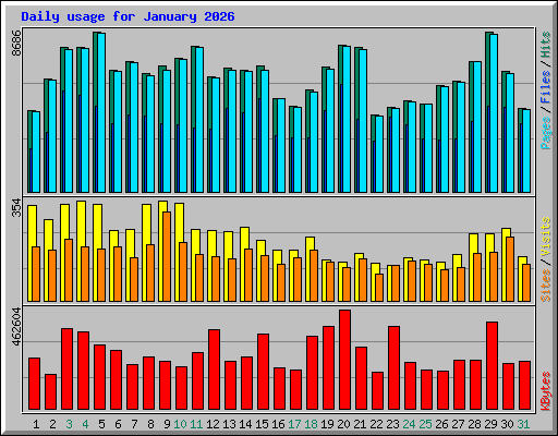 Daily usage for January 2026