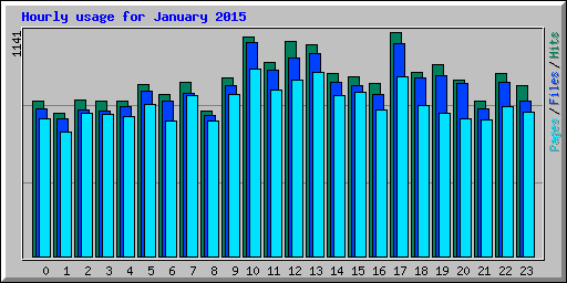 Hourly usage for January 2015