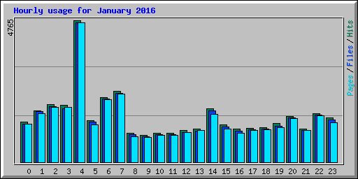 Hourly usage for January 2016