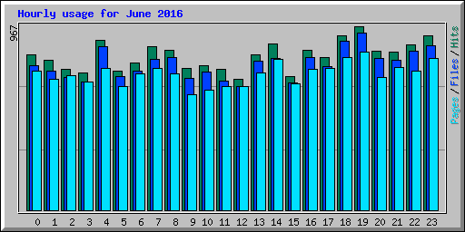 Hourly usage for June 2016