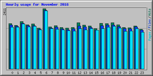 Hourly usage for November 2016