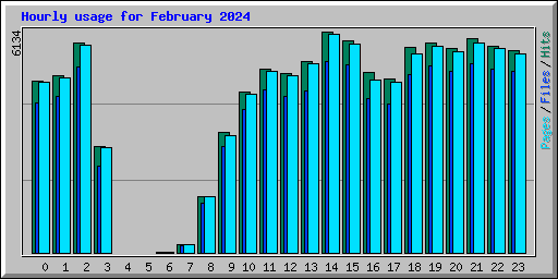 Hourly usage for February 2024