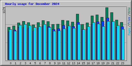Hourly usage for December 2024