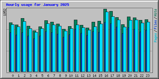 Hourly usage for January 2025