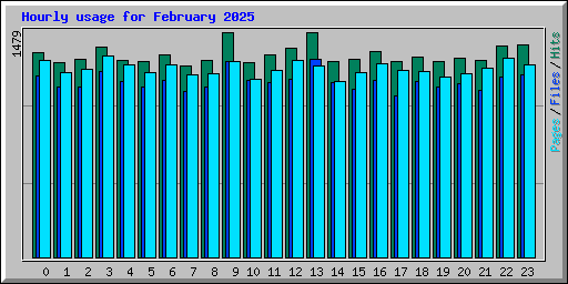 Hourly usage for February 2025