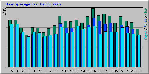 Hourly usage for March 2025