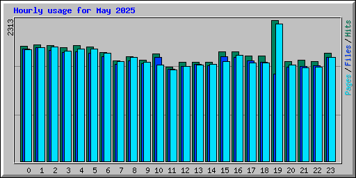 Hourly usage for May 2025