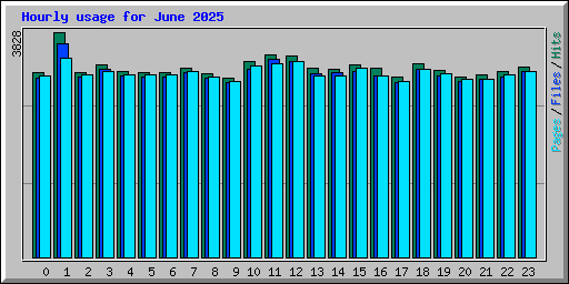 Hourly usage for June 2025