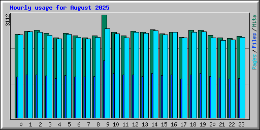 Hourly usage for August 2025