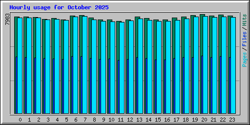 Hourly usage for October 2025