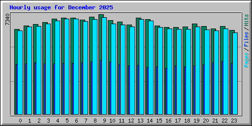 Hourly usage for December 2025