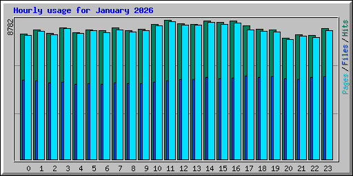 Hourly usage for January 2026